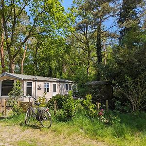 Ruim Chalet, Midden In Het Bos!